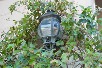 Light Fixture Cleaning
