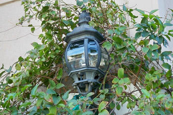 Light Fixture Cleaning